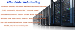 affordable web hosting provider company